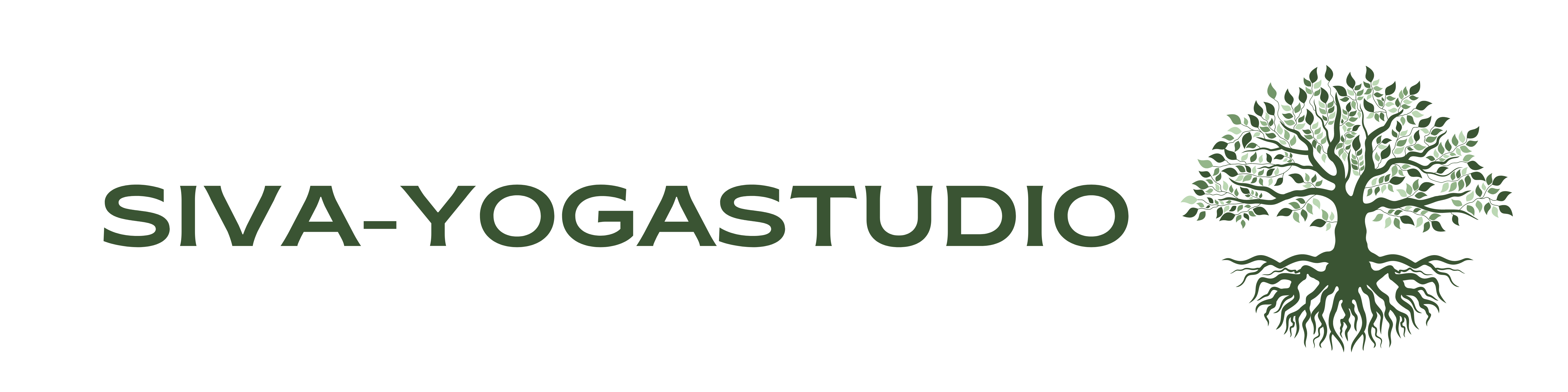 Siva-Yogastudio Enschede